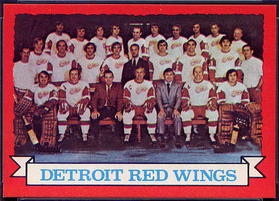 97 Red Wings Team